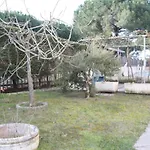 Anna Piano Primo