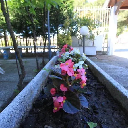 Anna Piano Primo * Lido di Pomposa